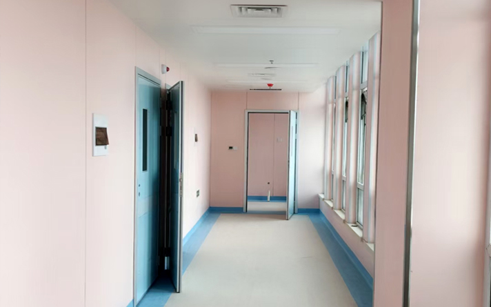 鋼質(zhì)凈化門(mén)的特色介紹